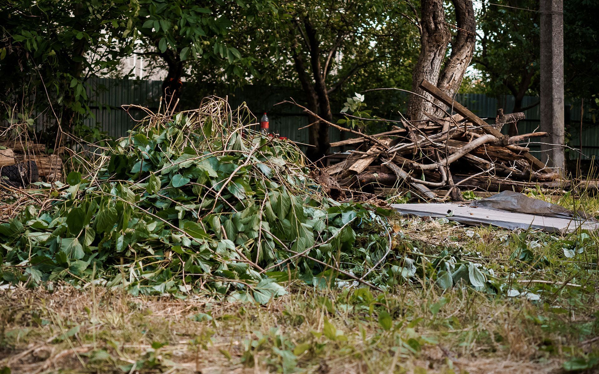 A pile of branches and leaves in a yard with trees in the background.