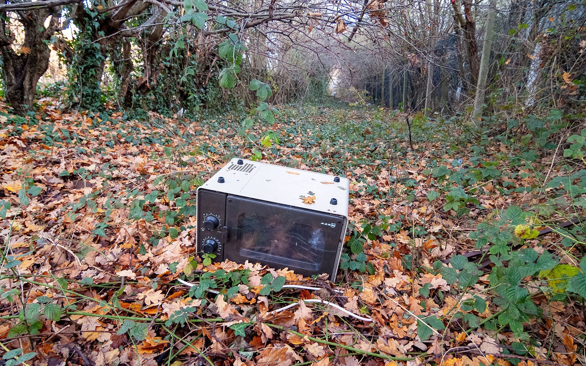 A microwave oven is sitting in the middle of a forest covered in leaves.