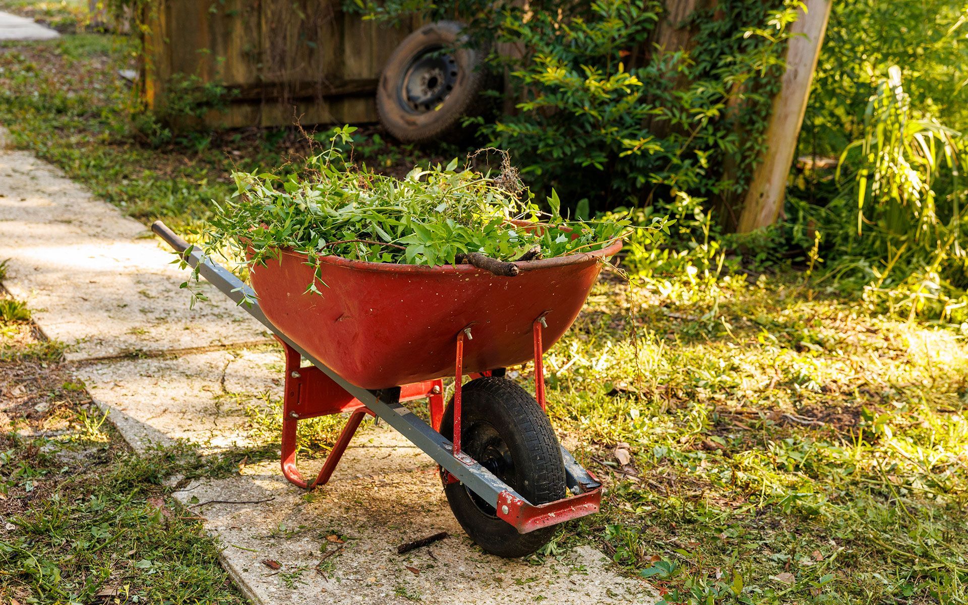 A red wheelbarrow filled with grass is parked on a sidewalk.