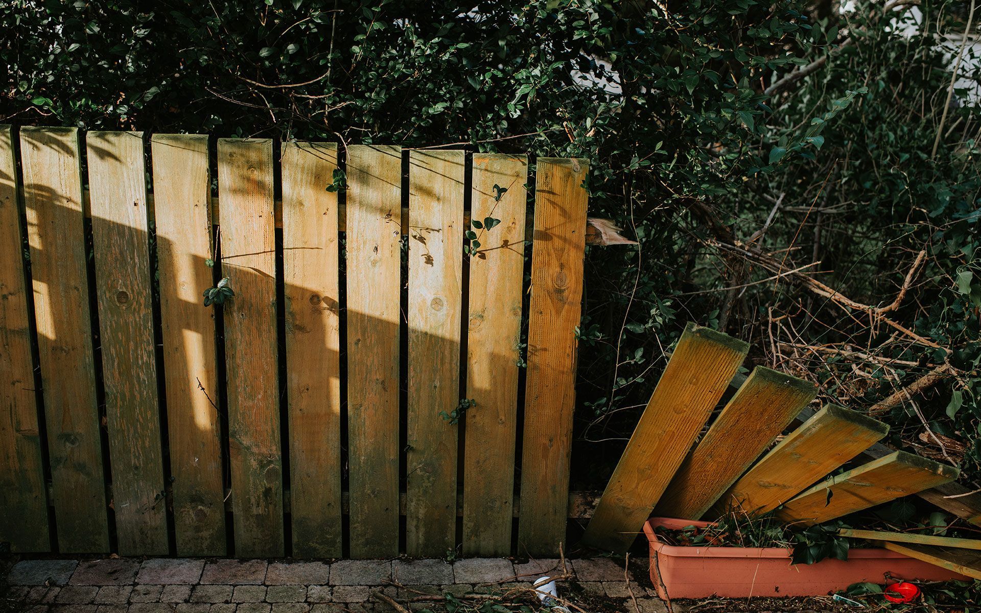 A wooden fence is surrounded by trees and a red potted plant.