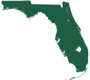 A green map of florida on a white background
