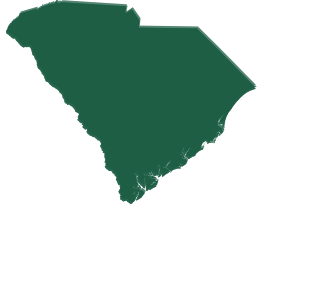 A green map of south carolina on a white background