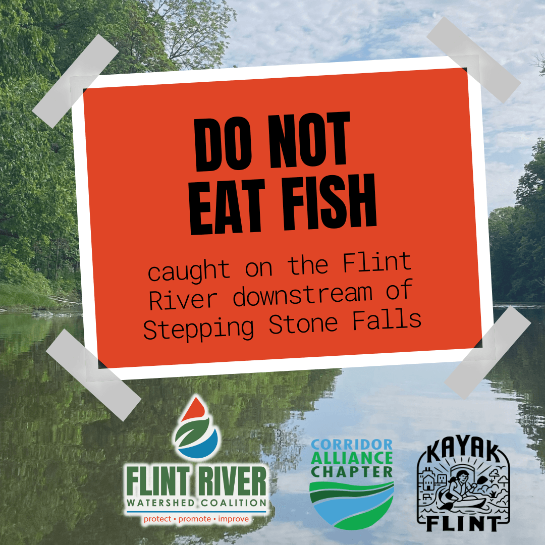 Do not eat fish caught on the Flint River downstream of Stepping Stone Falls