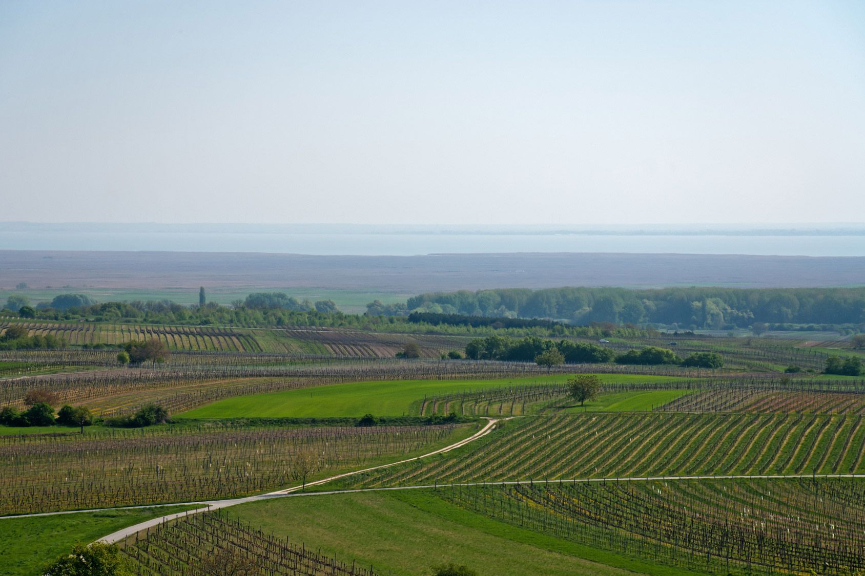Hotel Maria Weingut Schlösinger