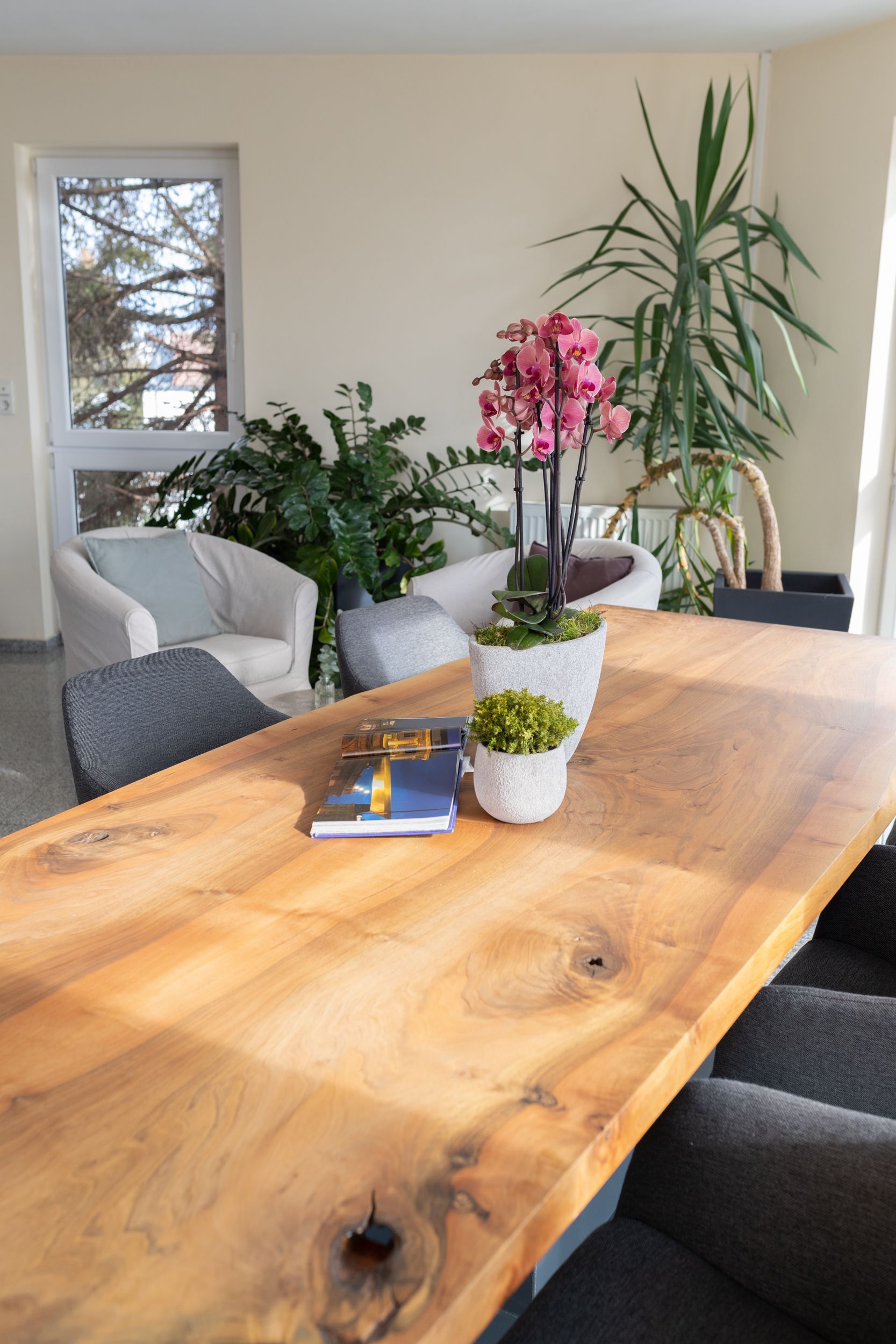 Hotel Maria Fotos und Impressionen Galerie