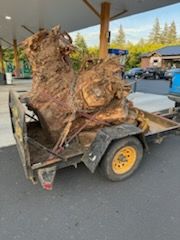 A large tree stump is sitting on top of a trailer.
