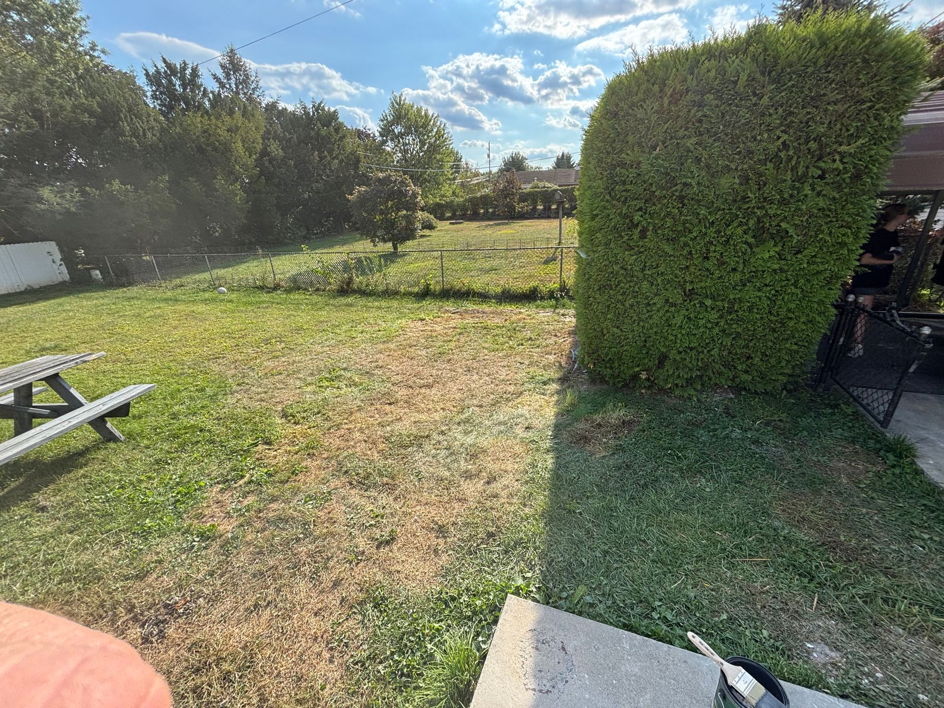 Lawn with dry patches, picnic table, large green bush, and a glimpse of a sky with clouds.