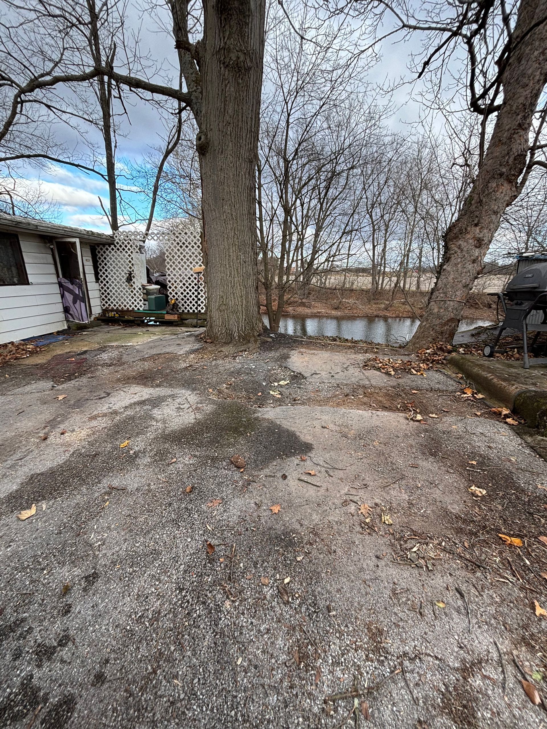 A weathered asphalt area with a large tree trunk, a small structure, and a pond visible in the background.