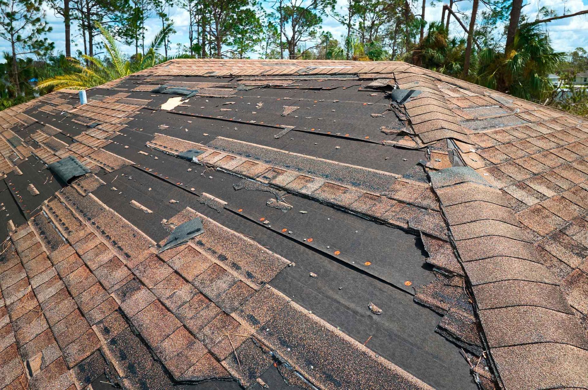 Roofind_Roof damage