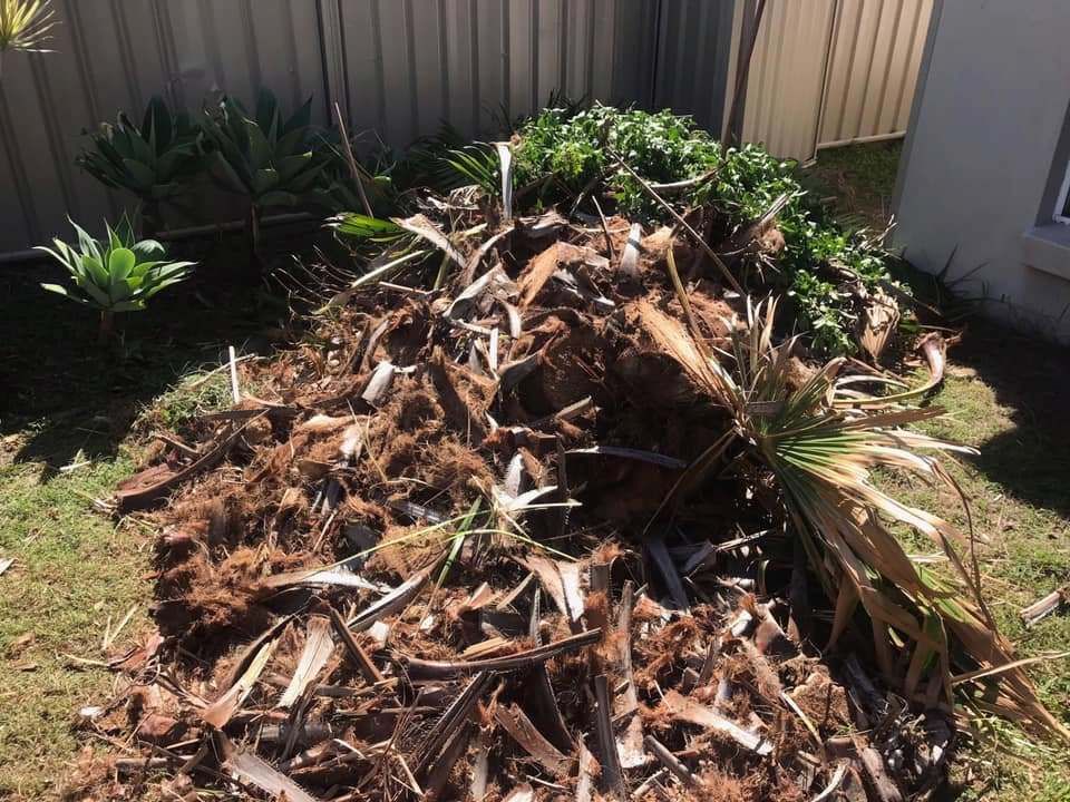 Backyard full of Green Waste — A Load of Rubbish In Buderim, QLD