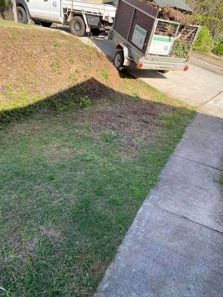 Green waste on the side of the road— A Load of Rubbish In Buderim, QLD