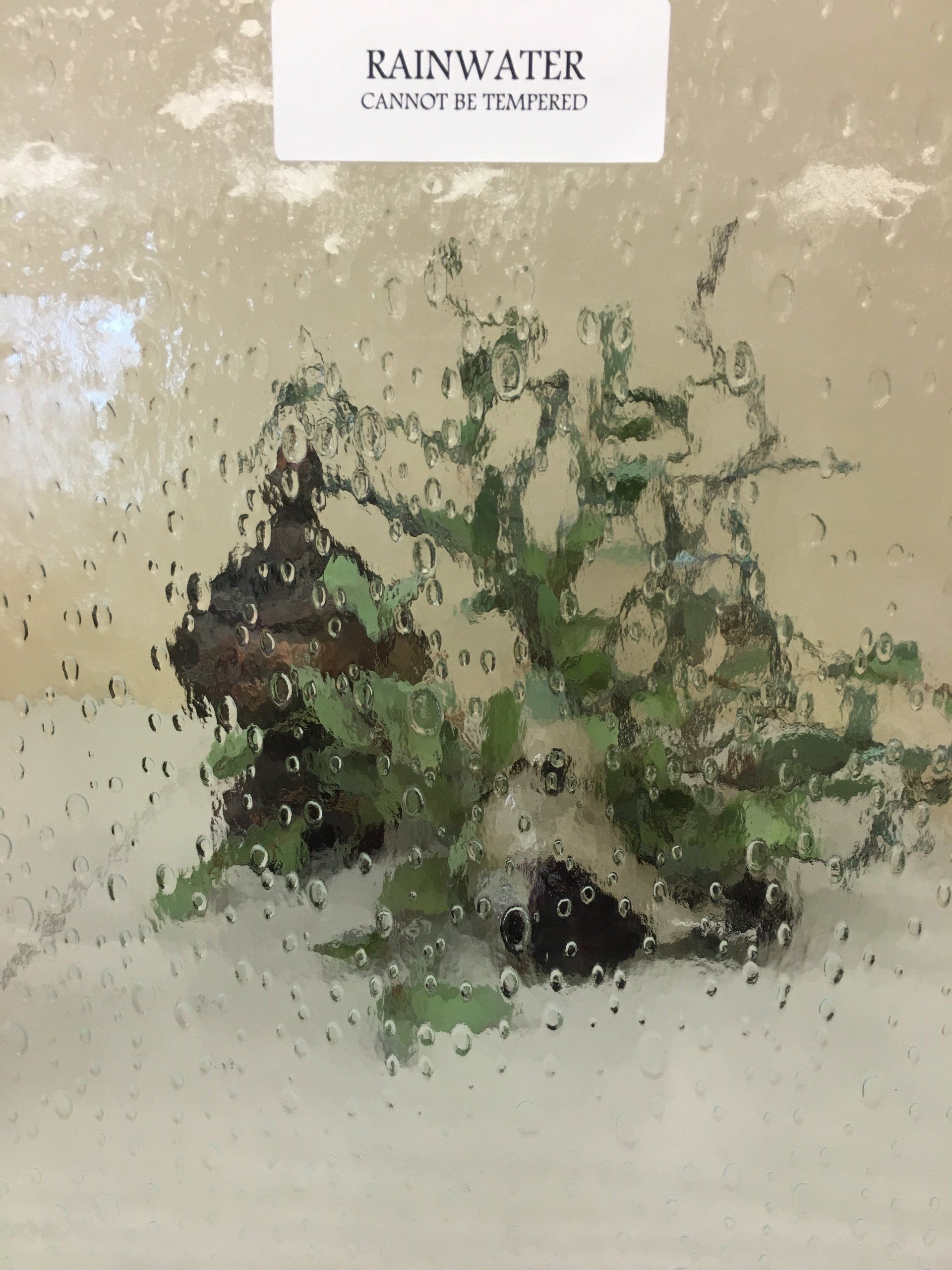 Rainwater-covered glass with plants inside. Label reads: 