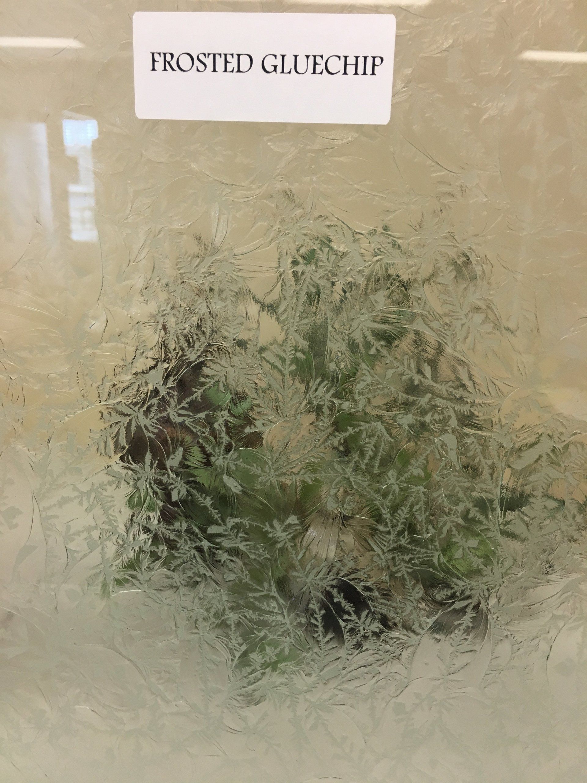 Frosted glass with a plant inside, label reads 