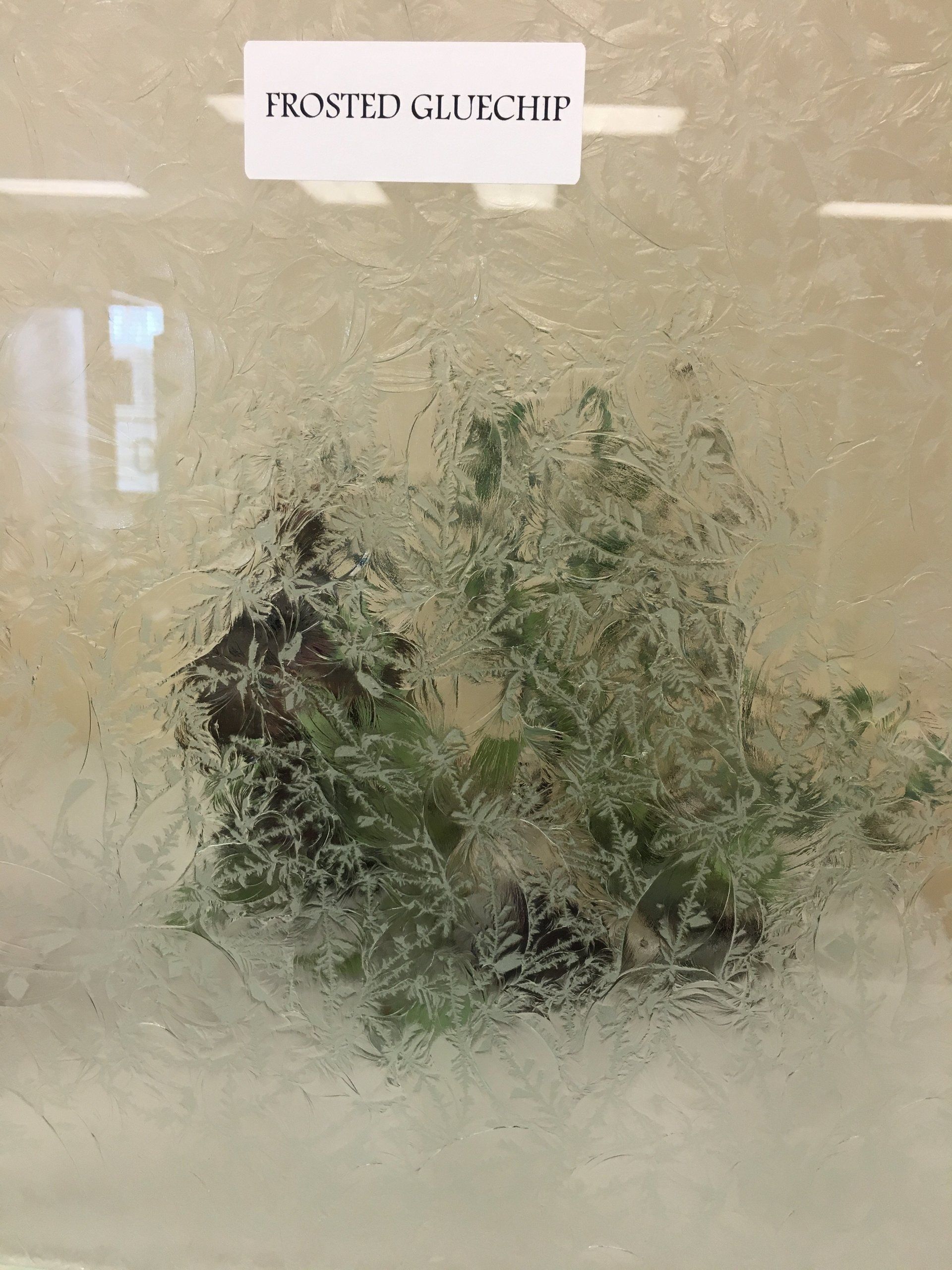 Frosted glass obscures two green plants. White label reads 