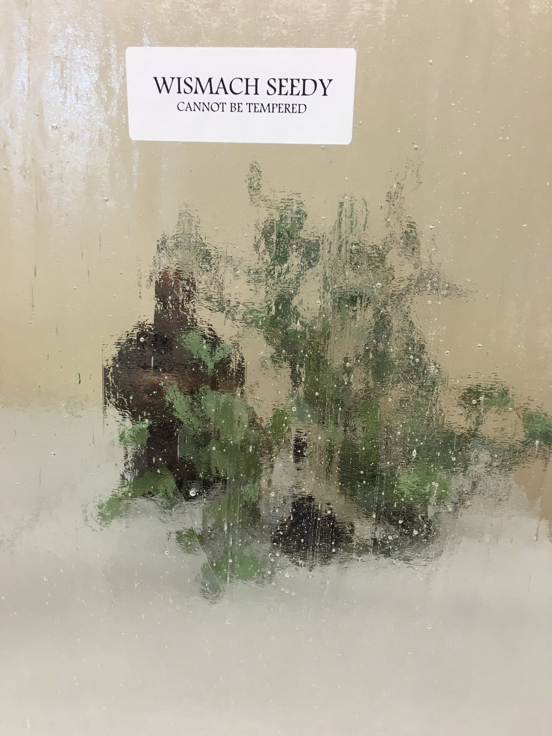 Plant display with label reading 