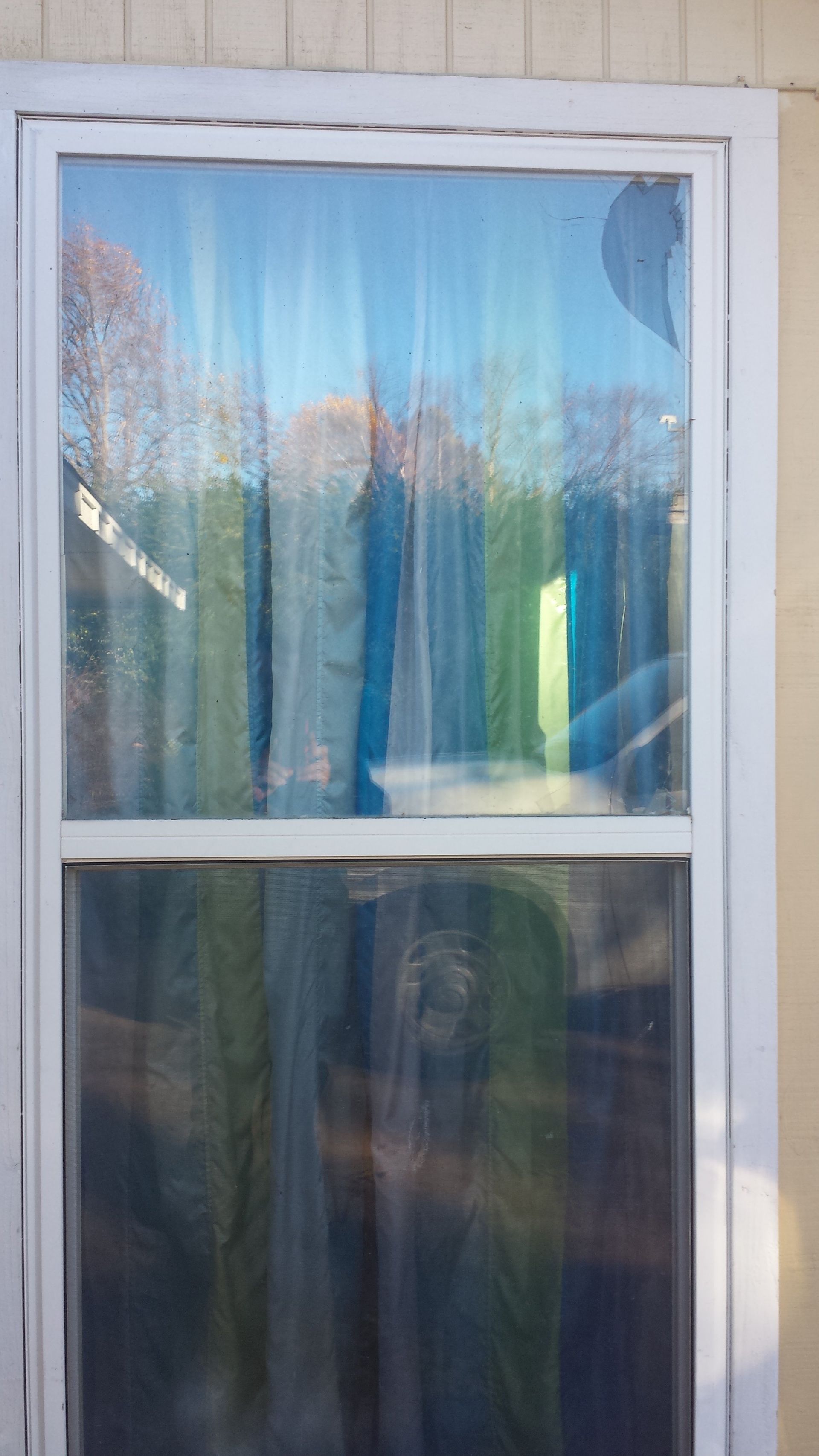 White window with a sheer curtain, reflecting a blue sky and trees.