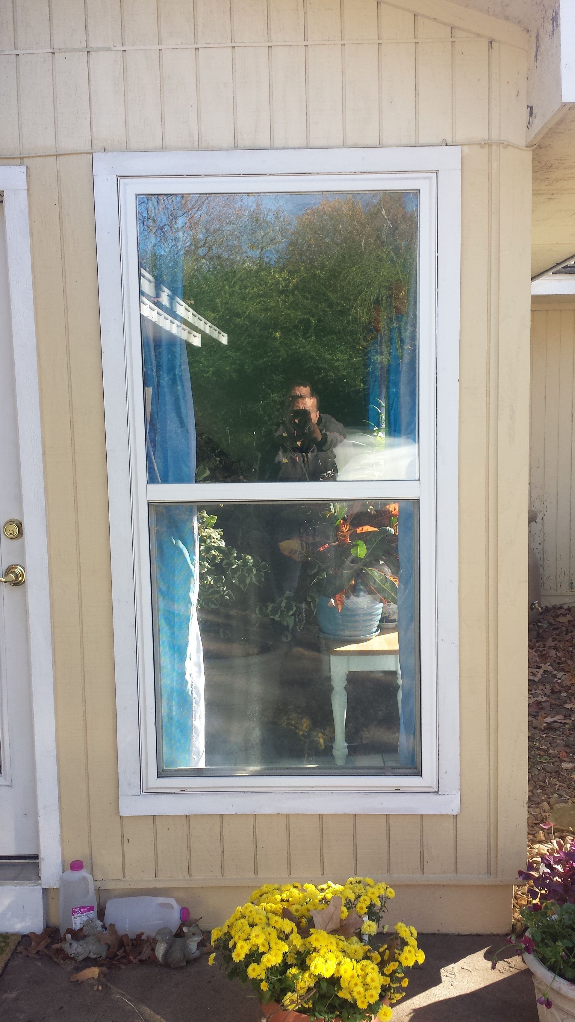 White-framed window on a light yellow house, reflecting a person and garden. Yellow flowers in a pot in front.