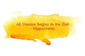 A Yellow Watercolor  with The Words All Disease Begins in The Gut Written on It — Alchemy Wellness Centre In Bangalow, NSW