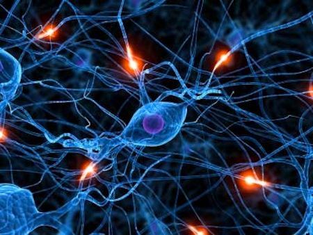 A Computer Generated Image of A Network of Nerve Cells — Alchemy Wellness Centre In Bangalow, NSW