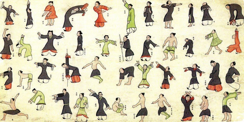 A Bunch of Drawings of People Doing Different Exercises — Alchemy Wellness Centre In Bangalow, NSW