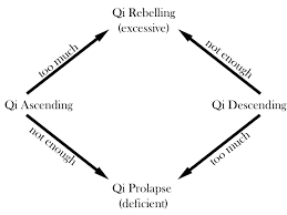 A Diagram of Qi Rebelling and Qi Ascending and Qi Descending — Alchemy Wellness Centre In Bangalow, NSW