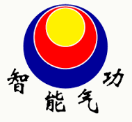 A Red, Yellow and Blue Circle with Chinese Writing on It — Alchemy Wellness Centre In Bangalow, NSW