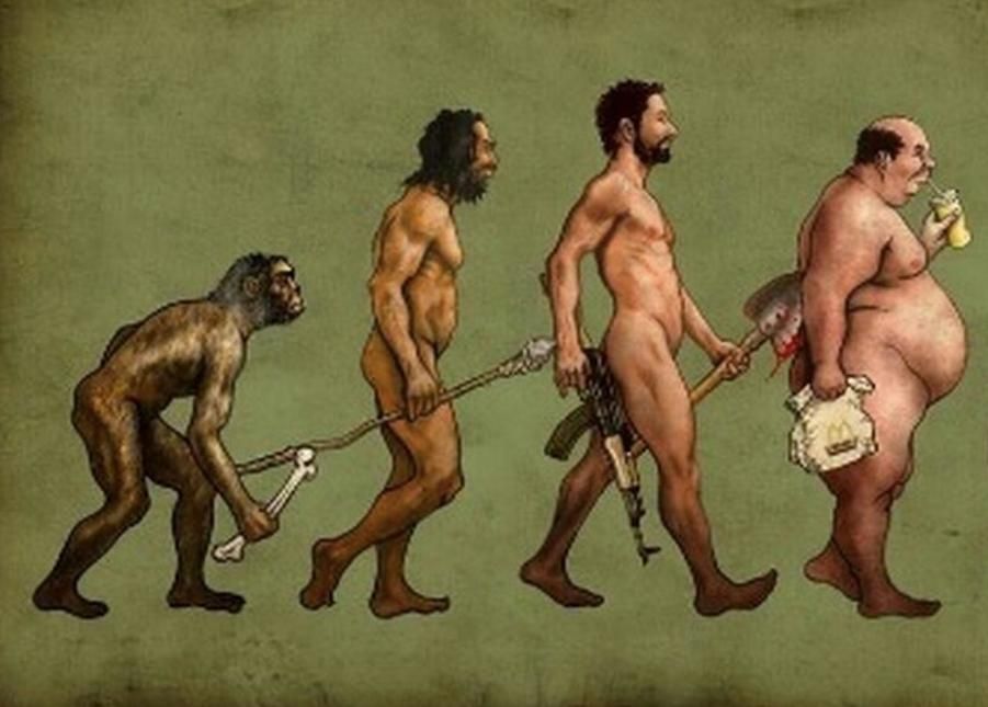The Evolution of Human — Alchemy Wellness Centre In Bangalow, NSW