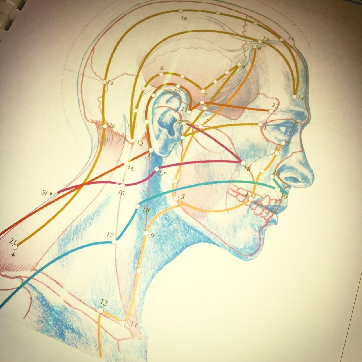 A Drawing of A Man's Head with Lines Going Through It — Alchemy Wellness Centre In Bangalow, NSW