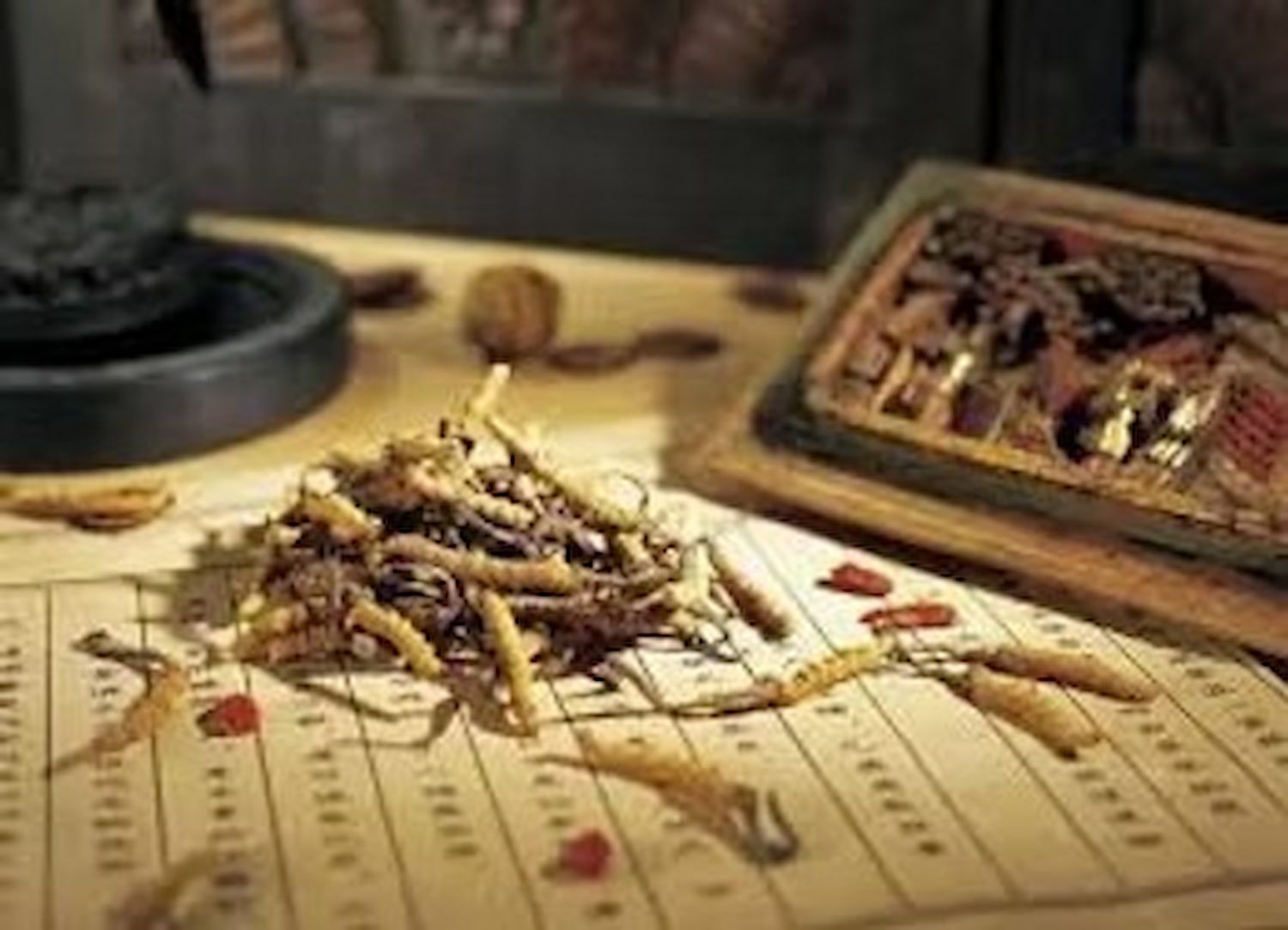 Pile of Dried Cordyceps Mushrooms on a Page of Chinese Script — Alchemy Wellness Centre In Bangalow, NSW