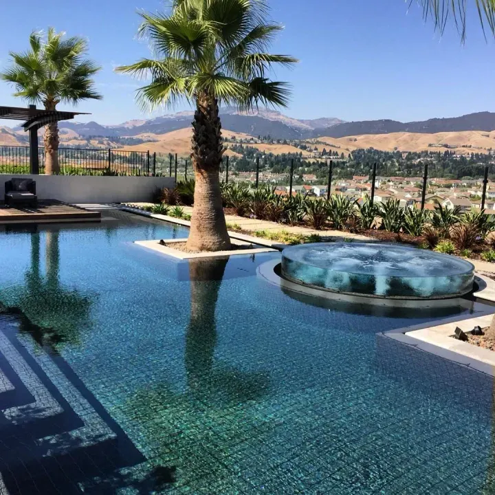 Luxury pool with palm trees, overlooking a valley with mountains under a blue sky.
