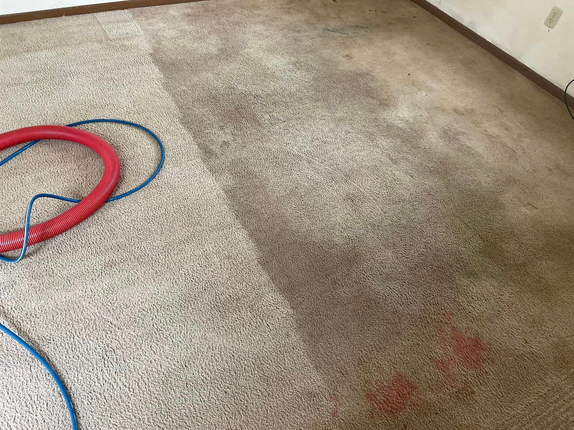 A carpet is being cleaned in a living room with a hose.