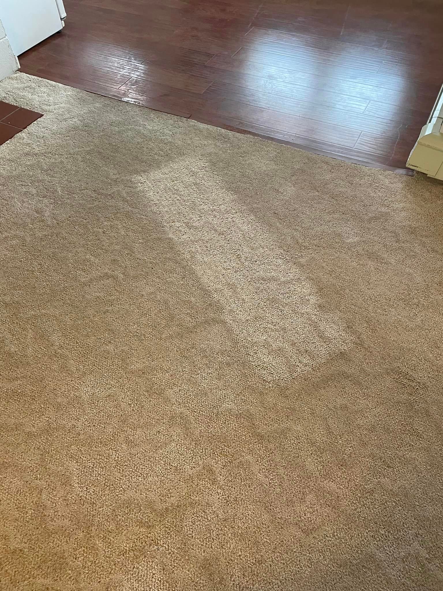 A close up of a tan carpet on a wooden floor.