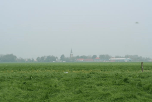 Landschap gras op zware klei bij Middelburg