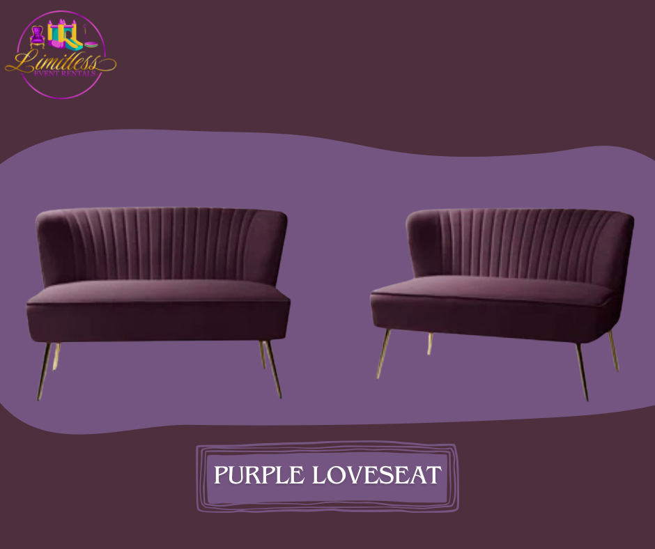 Two purple loveseats are sitting next to each other on a purple background.