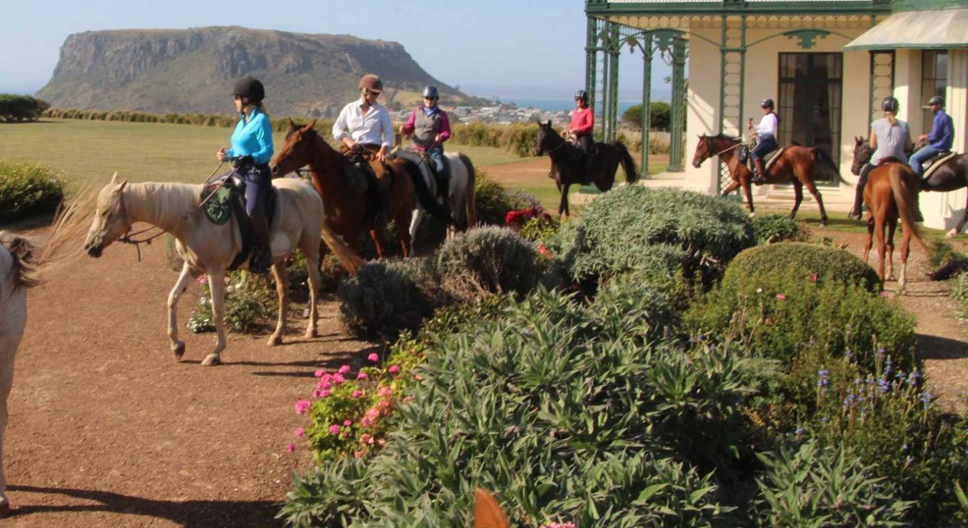 Channel Your Inner Child With a Horse Riding Adventure