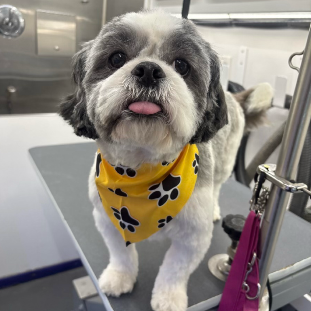 After grooming