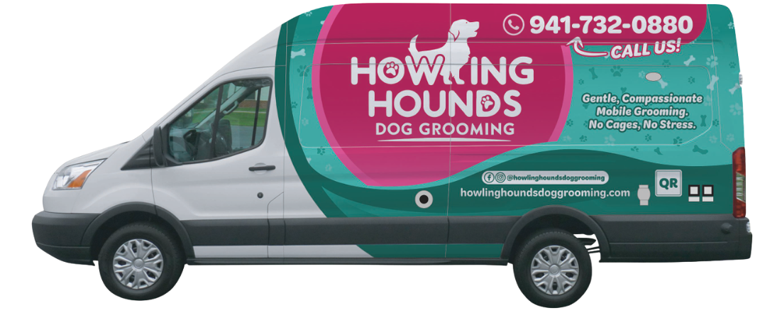 White and tan dog with a