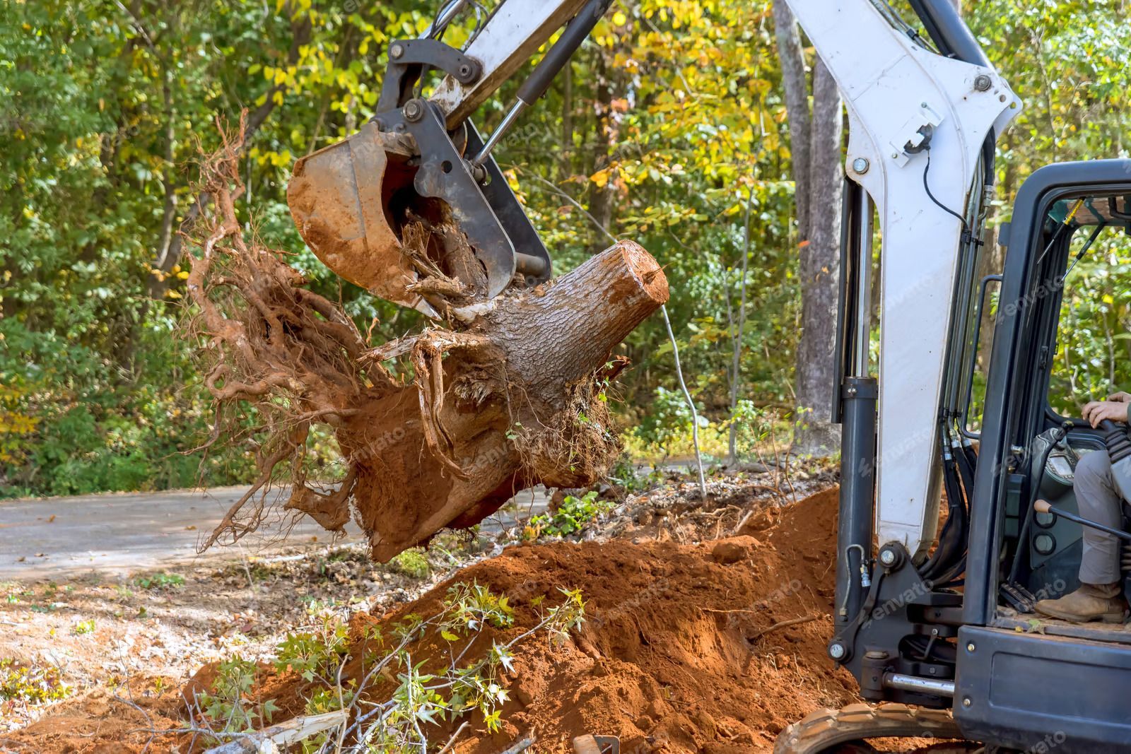 Excavator removing a tree stump from the ground, with exposed roots and dirt.
