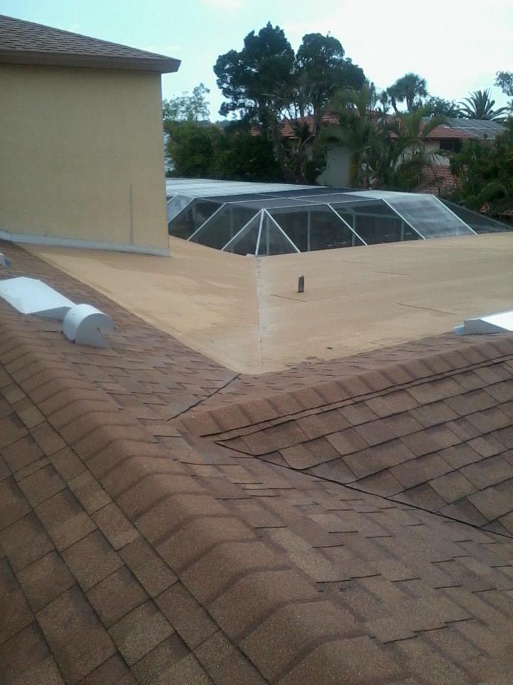 new shingle roof