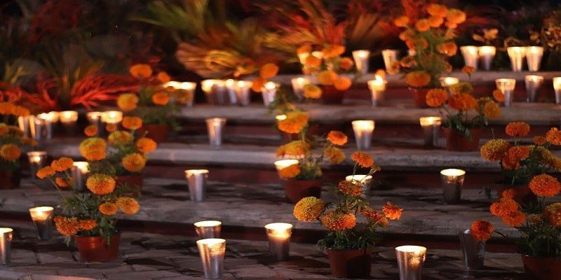 Companion Urns and Cremation Services