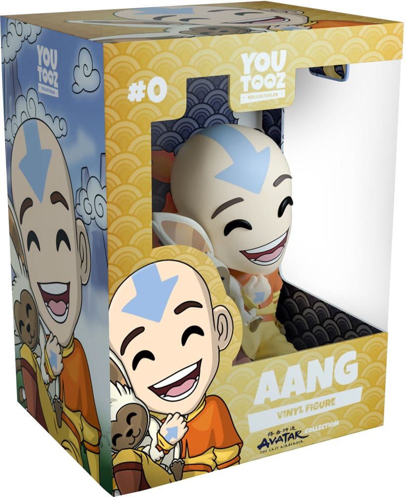 Avatar The Last Airbender Vinyl Figuur Aang