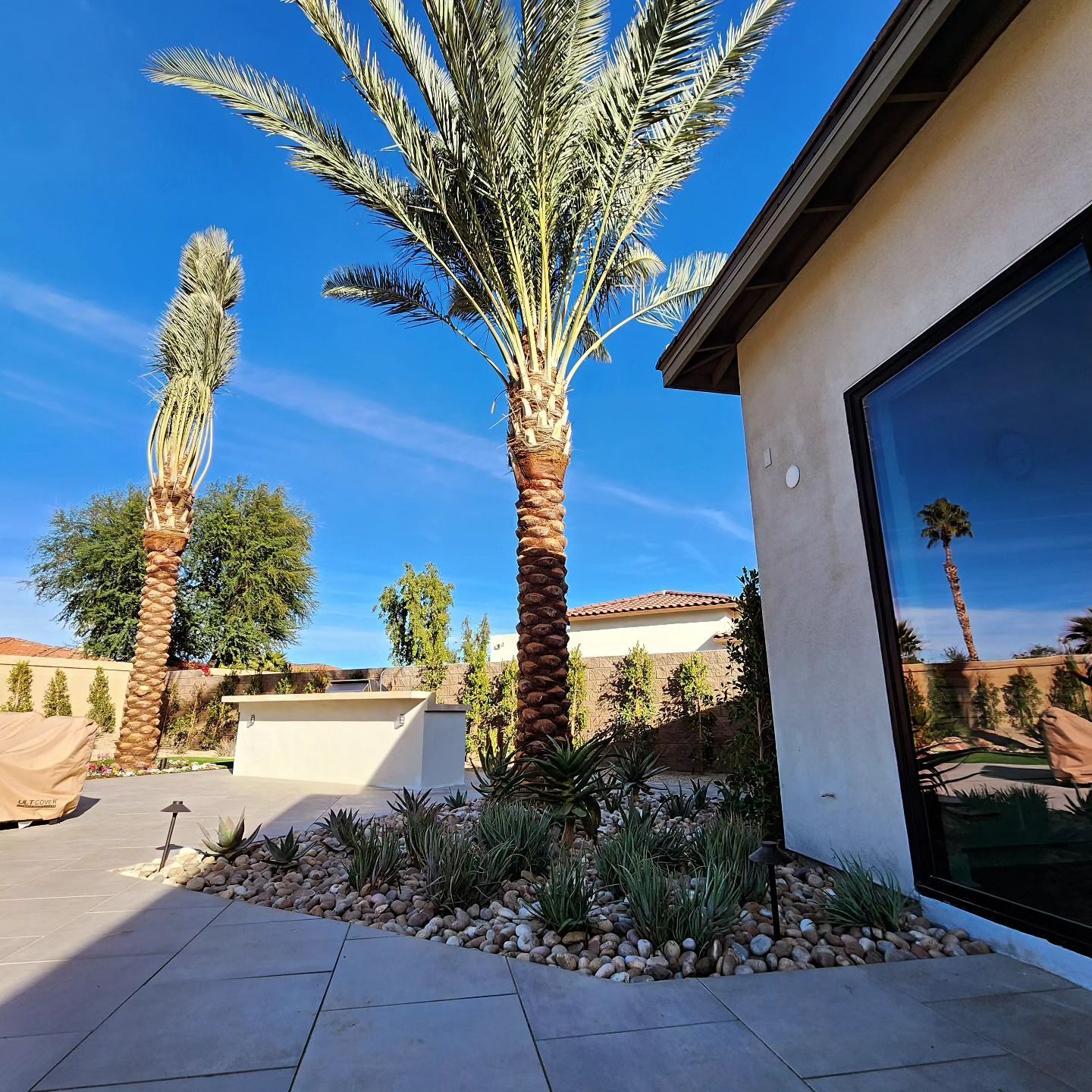 A house with a palm tree in front of it