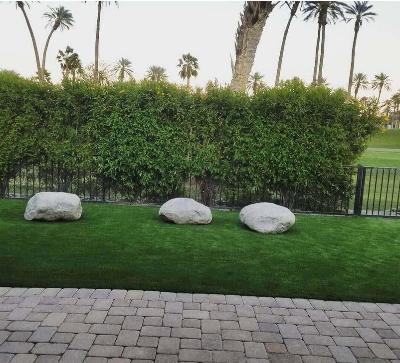 Three rocks on a lush green lawn with palm trees in the background