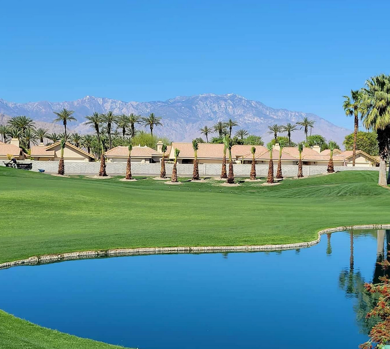 A golf course with palm trees and mountains in the background