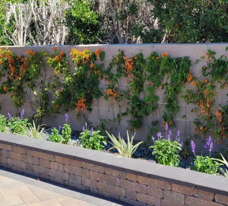A brick wall with flowers and plants growing on it