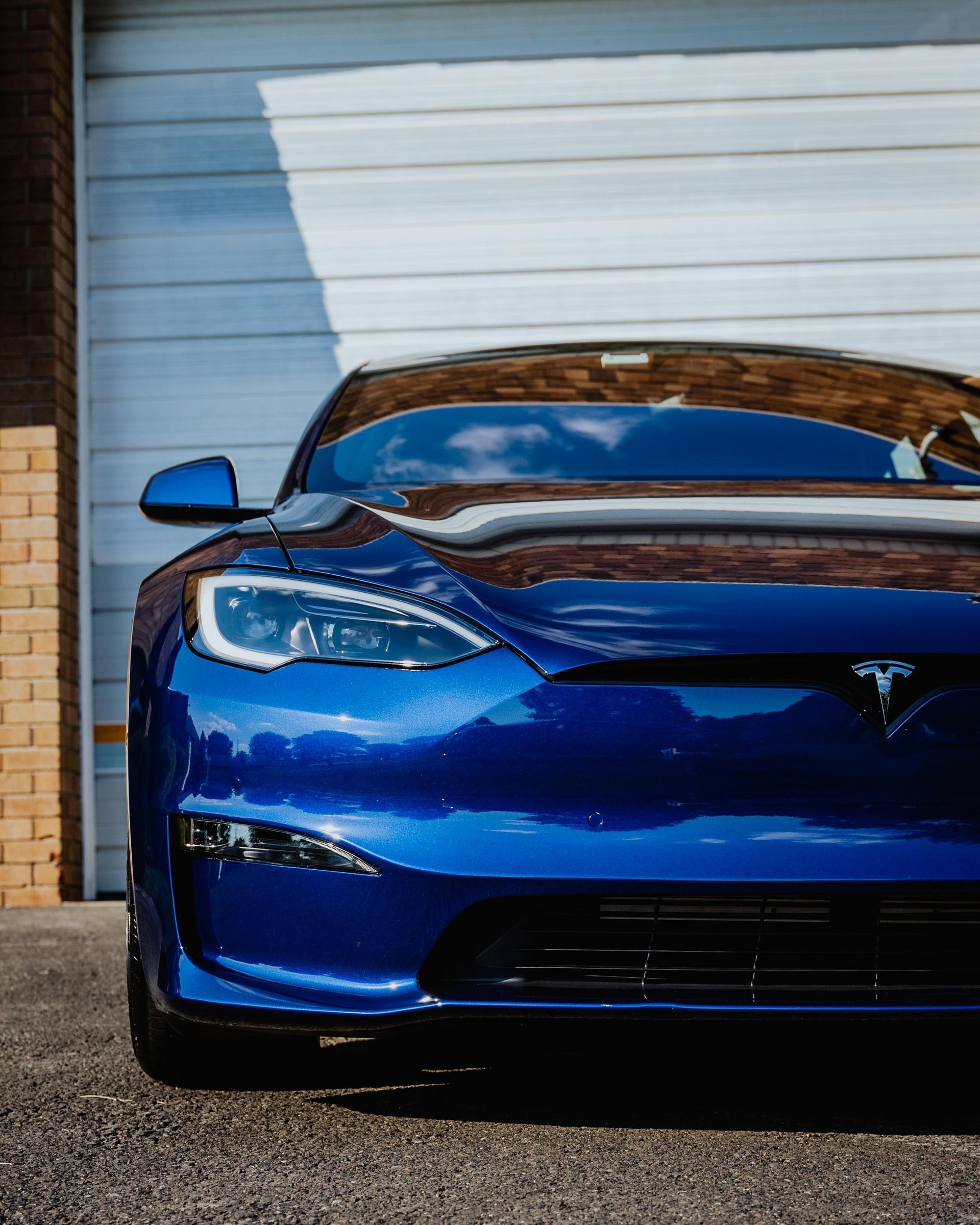 Paint Protection Film Services