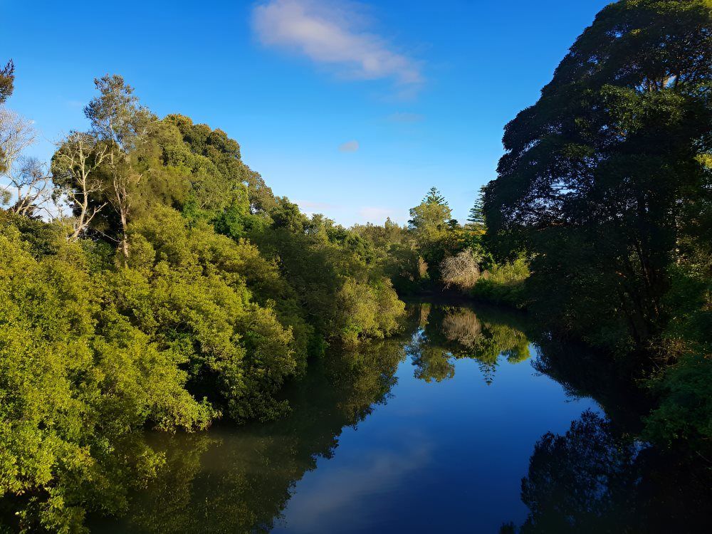 A River Surrounded By Trees On A Sunny Day — HI PSI Hydraulics in Taree, NSW