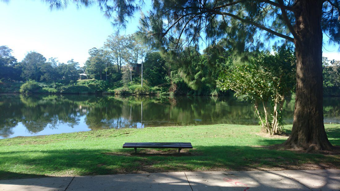 A bench is sitting in the grass next to a lake in a park.