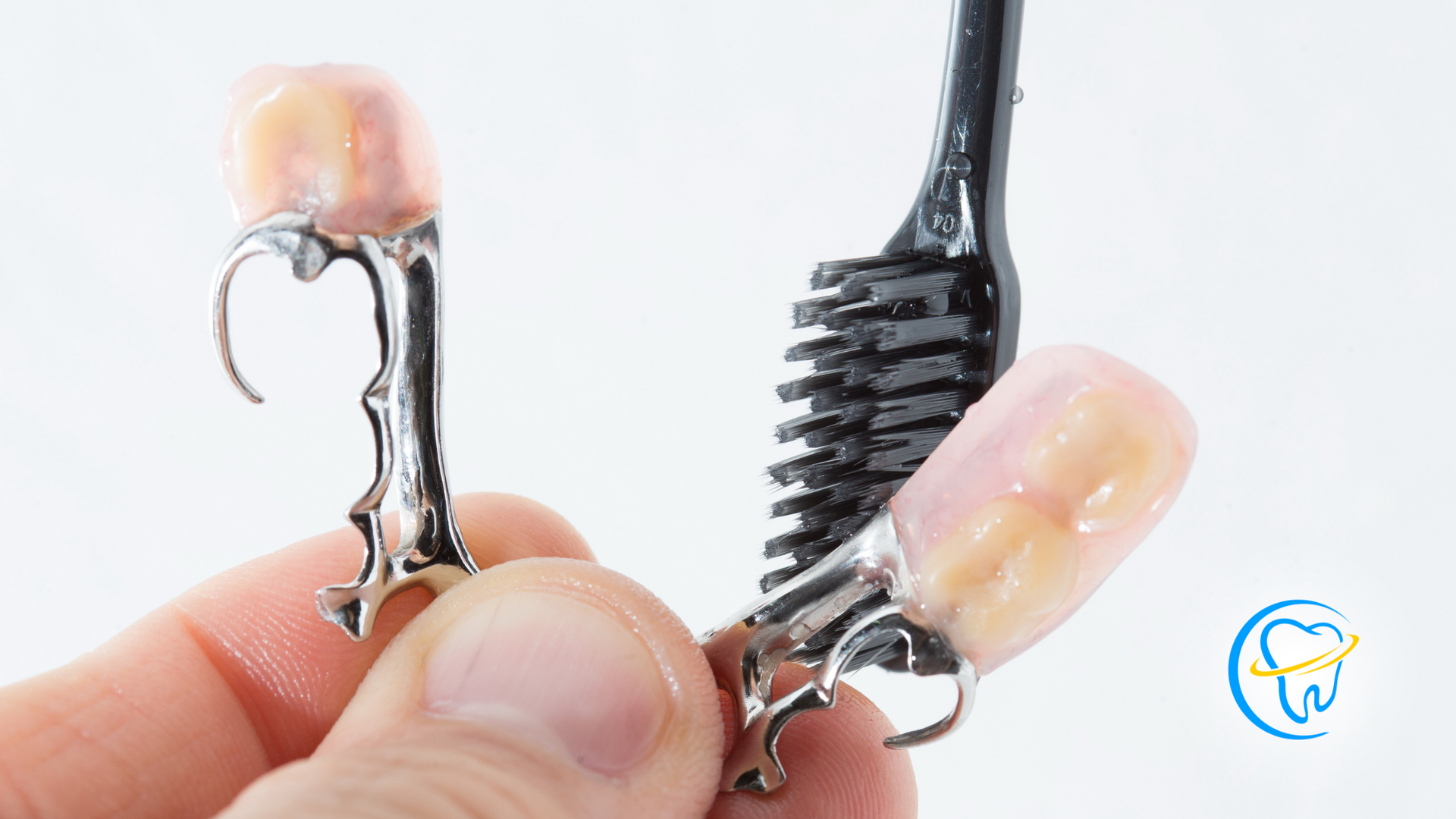 A person is holding a denture and a toothbrush in their hand.