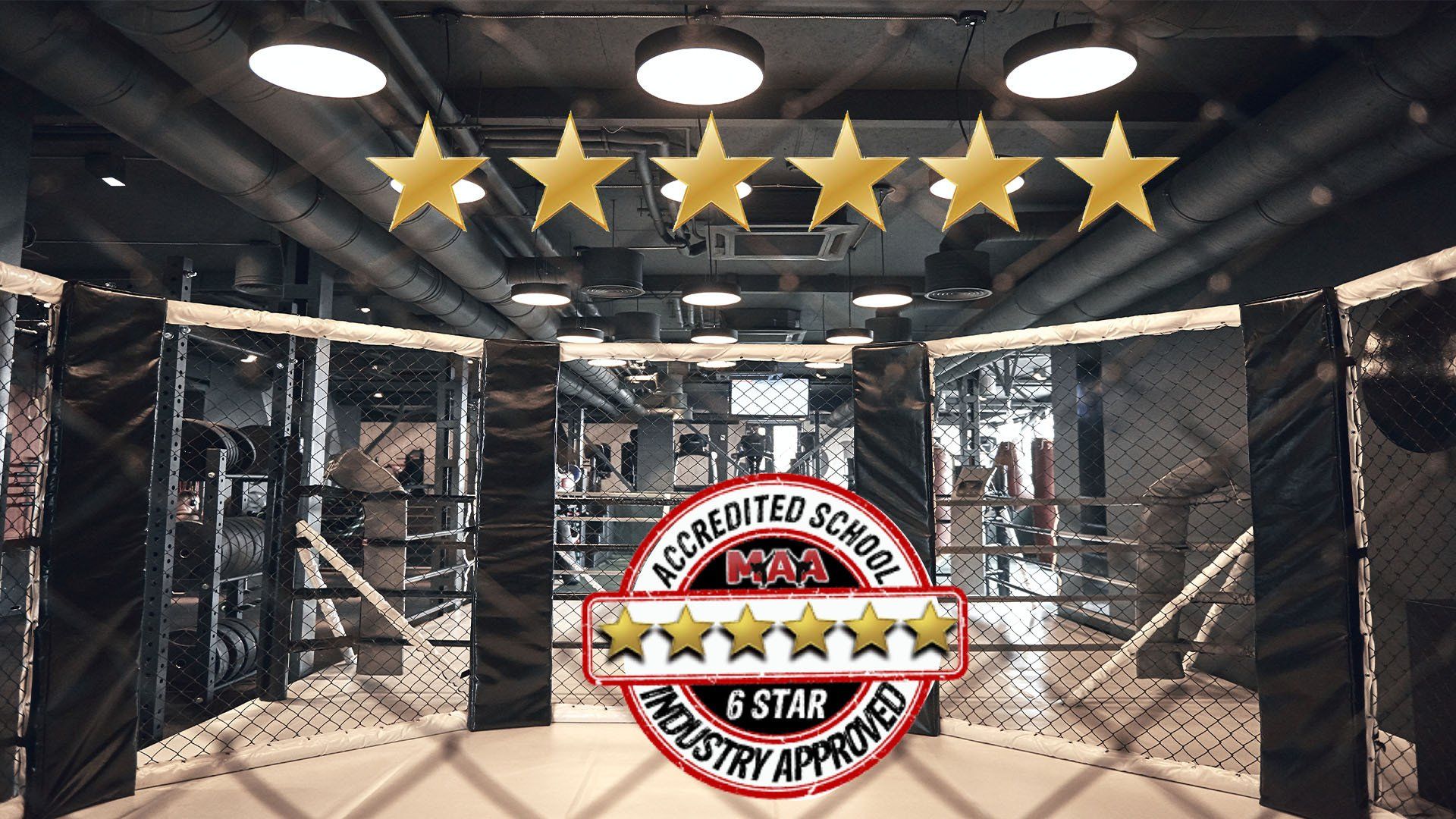 A picture of a boxing ring with five stars on it